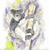 gif indri en couleur