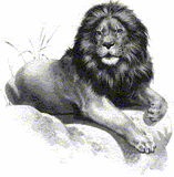 Dessin d'un lion au repas